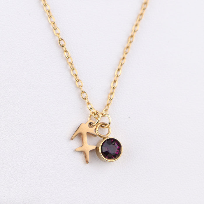 Stainless Steel Twelve Titanium Steel 12 Constellation Rune Pendant Birthday Stone Necklace